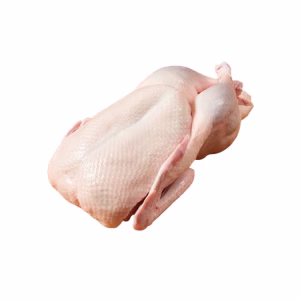 Duck (Beijing) – বেইজিং হাস