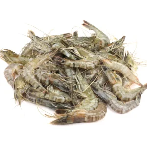 Bagda Chingri Fresh Local Cultured (55-65 Pcs/kg)