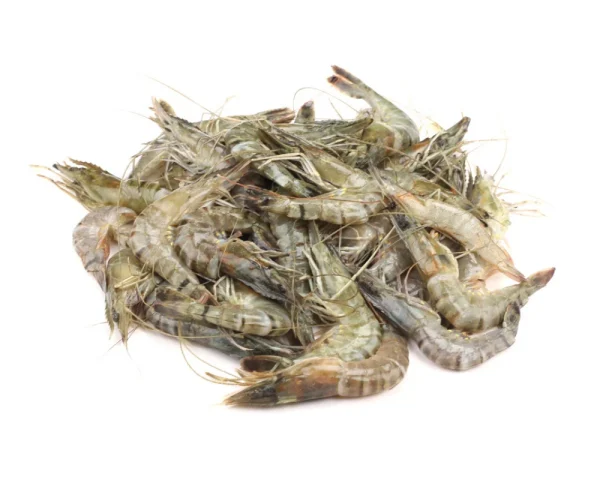 Bagda Chingri Fresh Local Cultured (55-65 Pcs/kg)