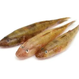 Baila Fresh Local Captured (10-15 Pcs/kg)