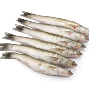 Bata Fresh Local Cultured (18-25 Pcs/kg)