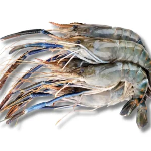 Golda Fresh Local Cultured (10-14 Pcs/kg)