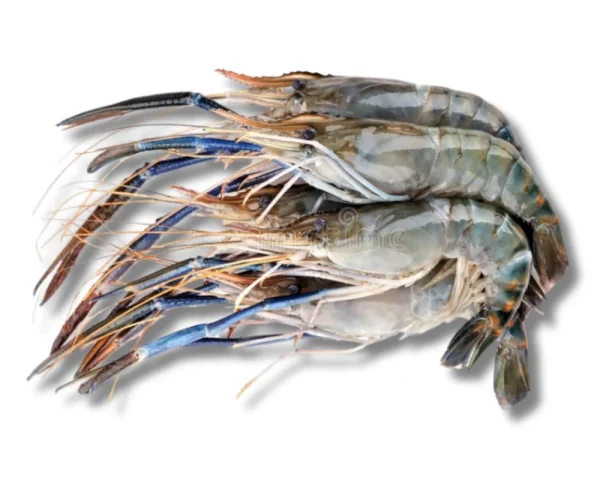 Golda Fresh Local Cultured (10-14 Pcs/kg)