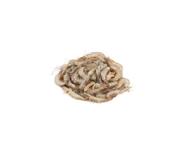 Horina Chingri Fresh Local Cultured