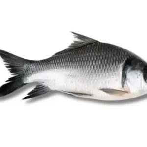 Katla Fresh Local Cultured (2-2.999 kg)