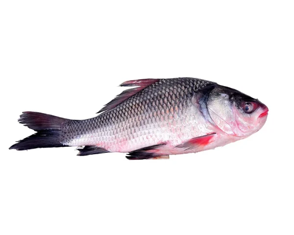 Katla Fresh Local Cultured (5-6.999 kg)