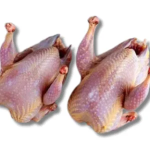 Kobutorer Mangsho (Pigeon Meat) Regular