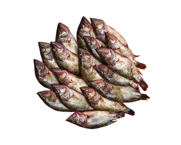 Meni Fresh Local Captured