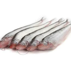 Pabda Fresh Local Cultured (30-40 Pcs/kg)