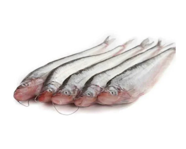 Pabda Fresh Local Cultured (30-40 Pcs/kg)