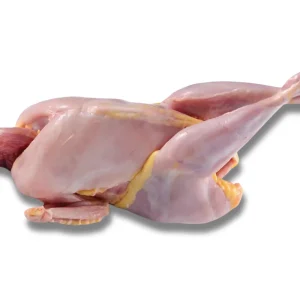 Roast Chicken