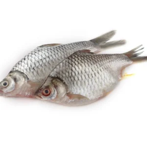 Sarputi Fresh Local Cultured (4-5 Pcs/kg)