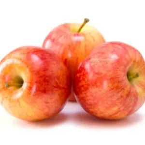 Shop Apple Gala Premium