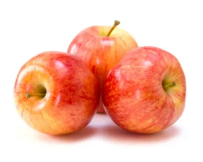 Shop Apple Gala Premium