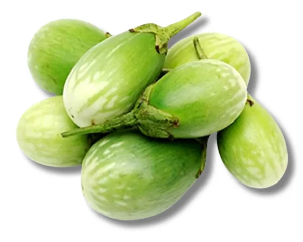 Begun Shobuj (Brinjal Round Green)