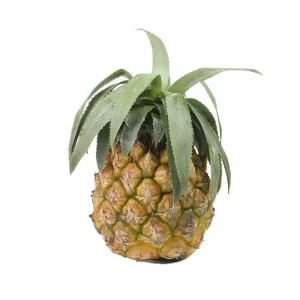Shop Calendar Anarosh (Pineapple) 600gm+ Per Pcs