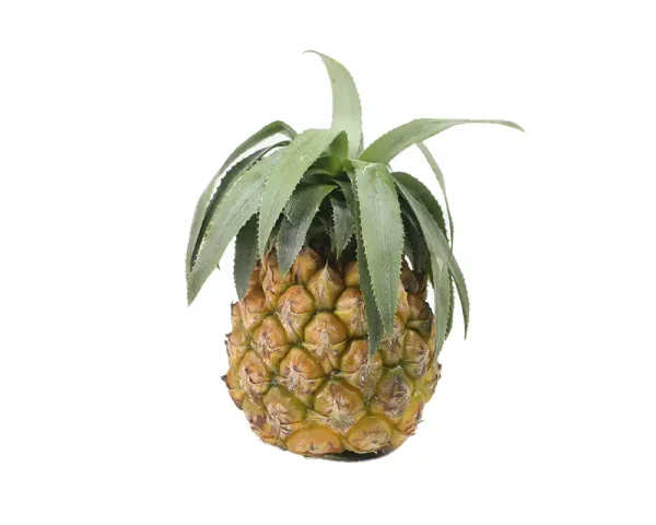 Shop Calendar Anarosh (Pineapple) 600gm+ Per Pcs