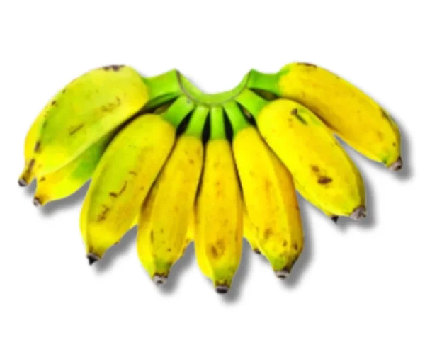 Shop Chini Chompa (Banana) Yellow