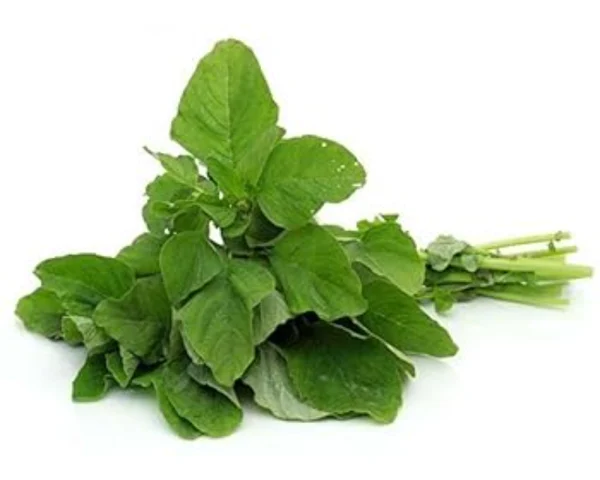 Shop Data Shak (Amaranth Spinach)