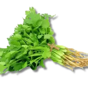 Shop Dhoniapata (Coriander Leaf) Local