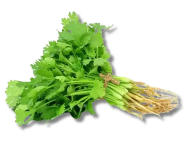 Shop Dhoniapata (Coriander Leaf) Local