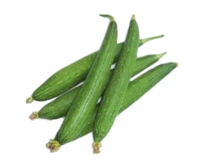 Dhundul (Sponge Gourd)