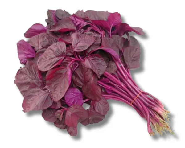 Shop Lal Shak (Red Amaranth Spinach) at Shwapno.com