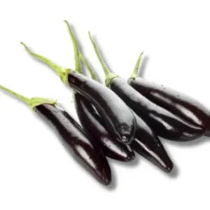 Lomba Begun-Beguni (Brinjal Long)