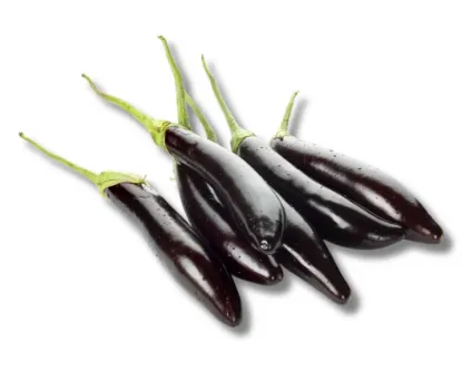 Lomba Begun-Beguni (Brinjal Long)