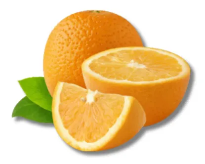 Shop Malta (Orange)