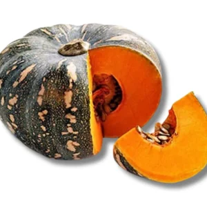 Shop Mishti Kumra (Pumpkin)