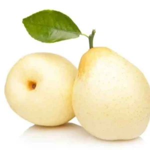 Shop Nashpati (Pears White)
