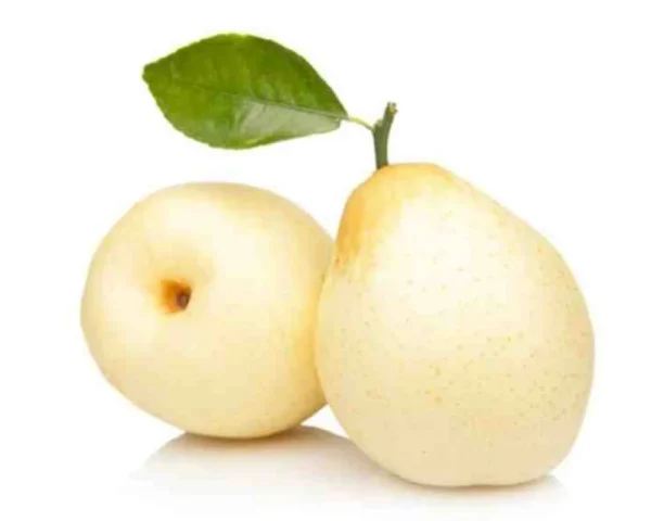 Shop Nashpati (Pears White)