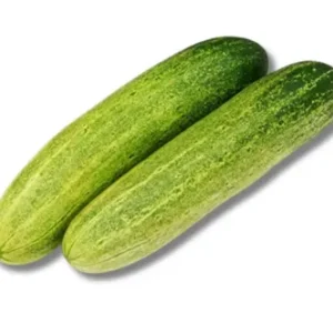 Shop Shosha (Cucumber)