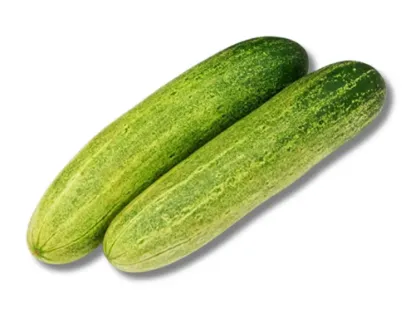 Shop Shosha (Cucumber) at Shwapno.com